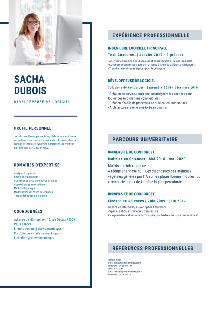 Bleu-et-Gris-Logiciel-Developpeur-Technologie-CV